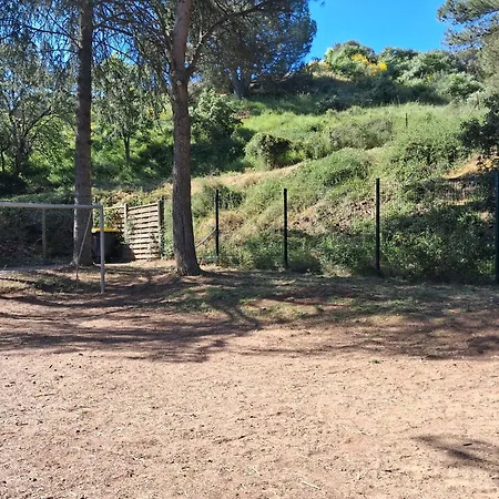 Chalet Climatisé 6 Personnes Agde